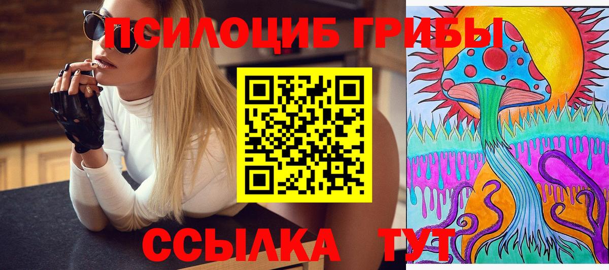 Псилоцибиновые грибы MAGIC MUSHROOMS Новокуйбышевск