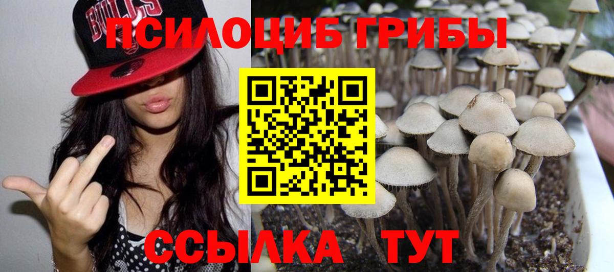 Новокуйбышевск  Псилоцибиновые грибы Magic Shrooms  Вход с VPN  Псилоцибиновые грибы мухоморы 